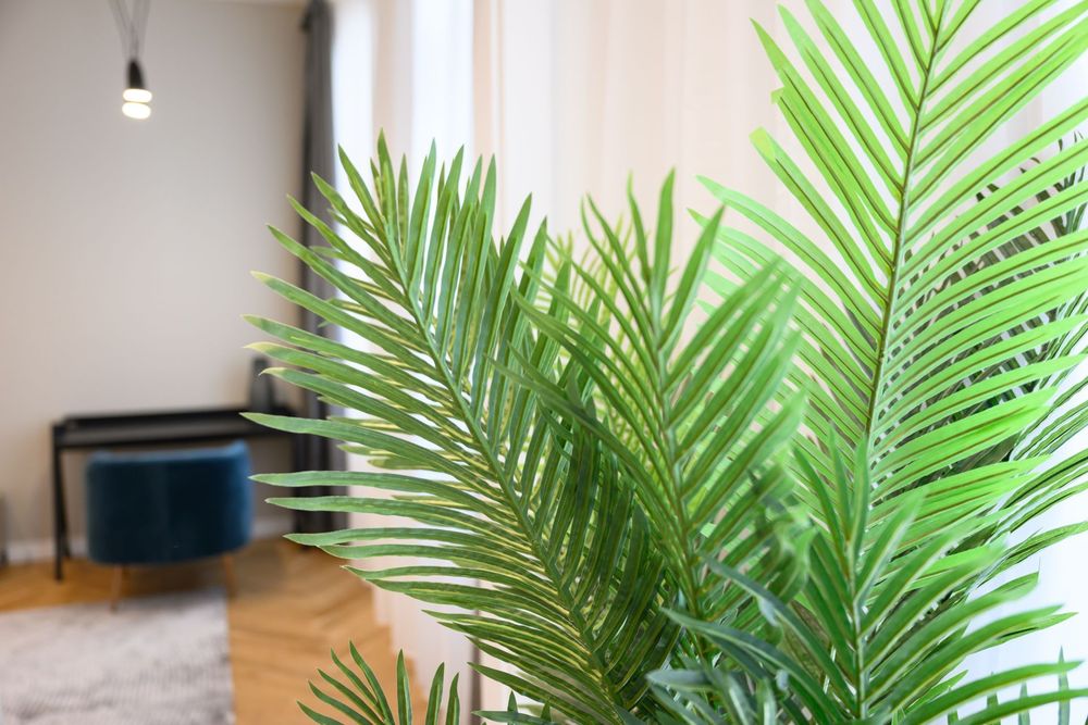 Vereinbaren Sie noch heute eine Besichtigung